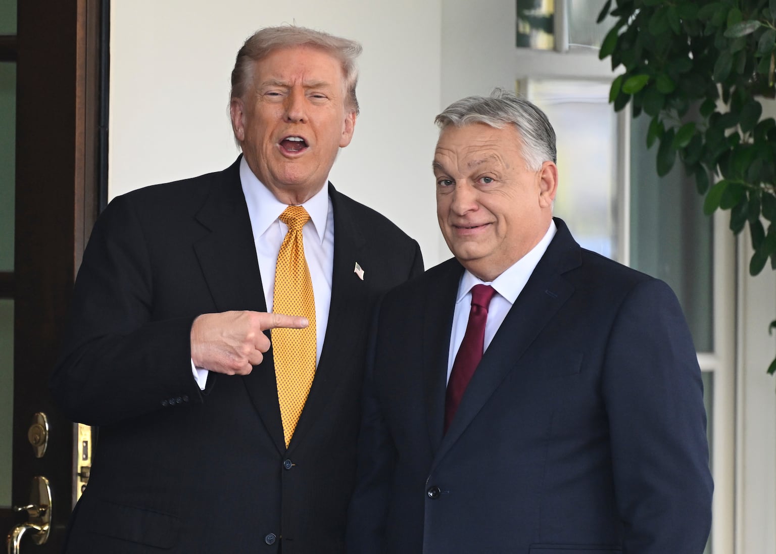 Orban says Trump will not punish Hungary for buying Russian energy