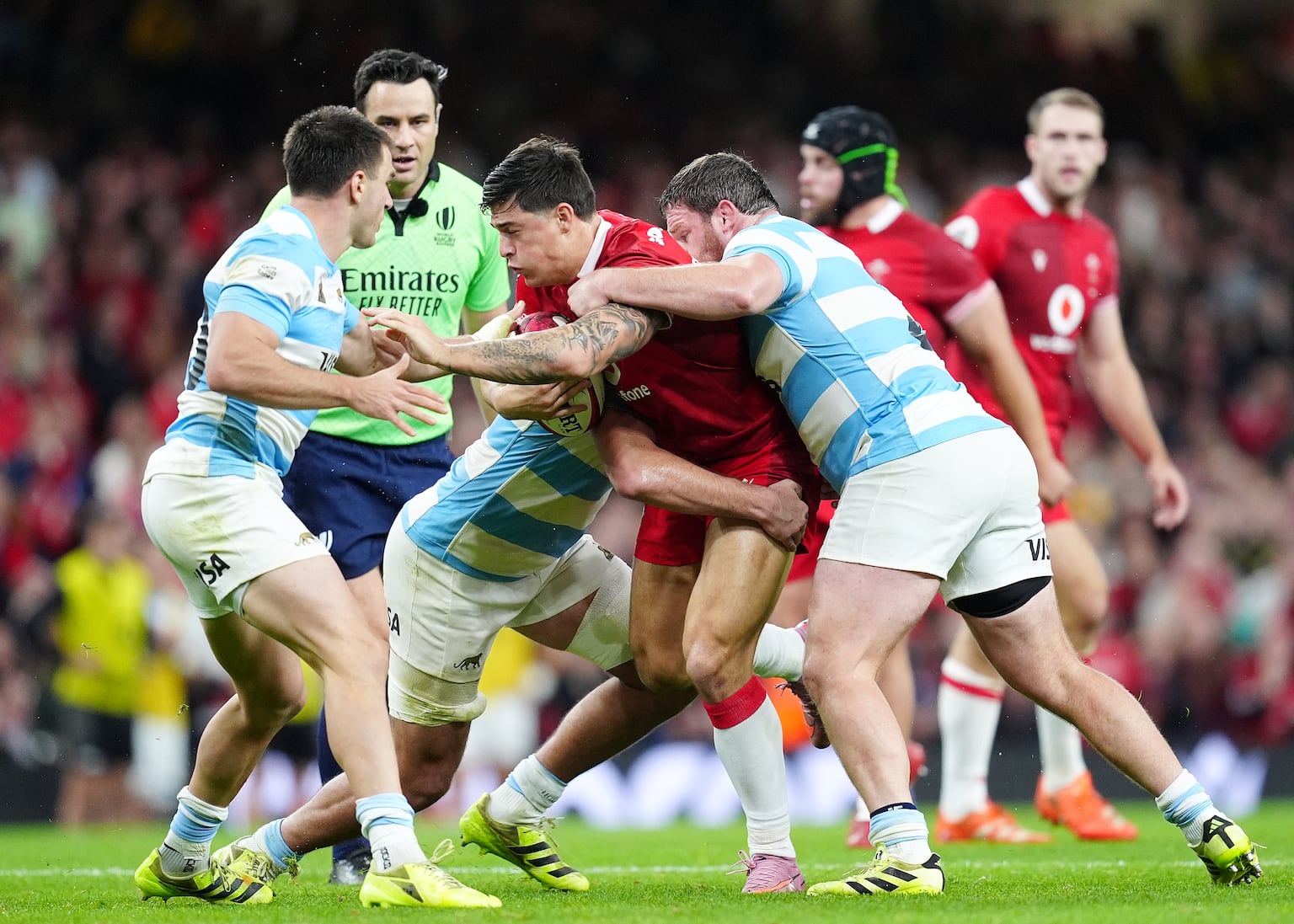 Wales fall to heavy Argentina defeat in Steve Tandy’s first match as head coach