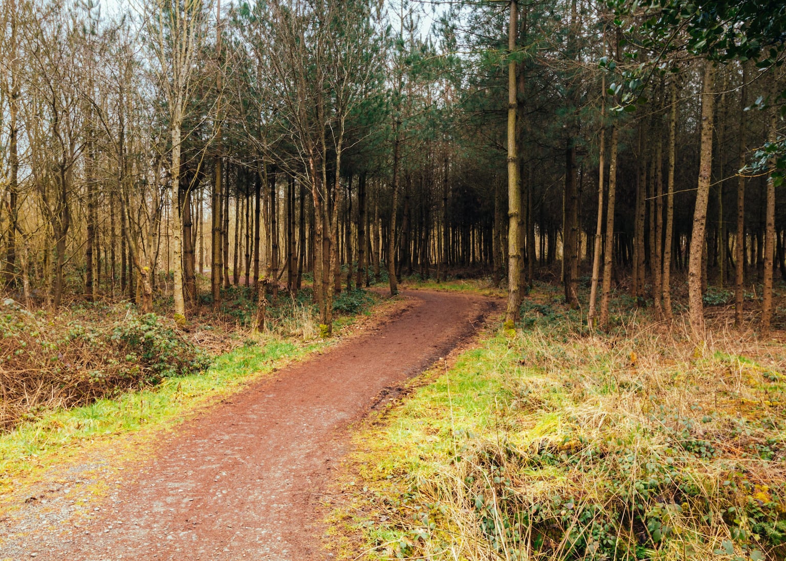 The Rise of AI-Powered Personal Assistants: How They Manage