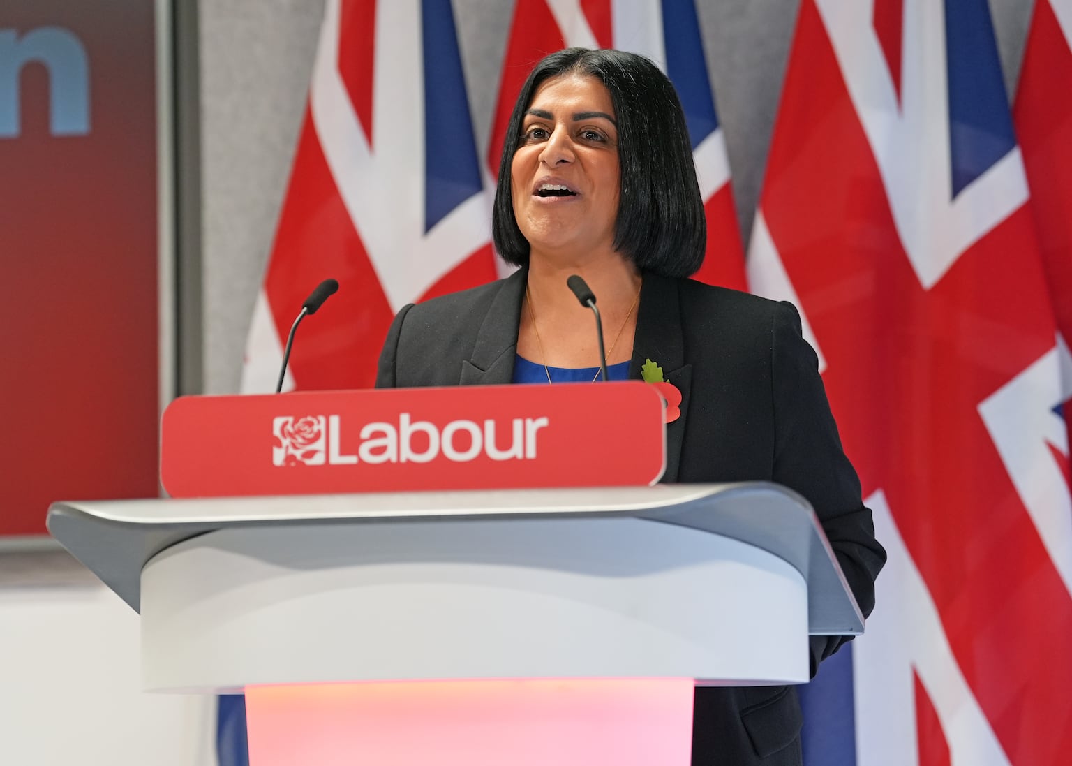 UK looks to Denmark to shake up immigration system