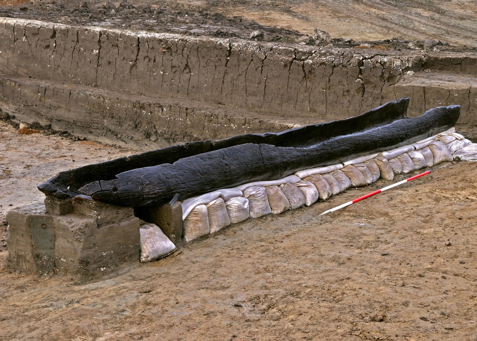Bronze Age log boats discovered in silted-up creek to go on display