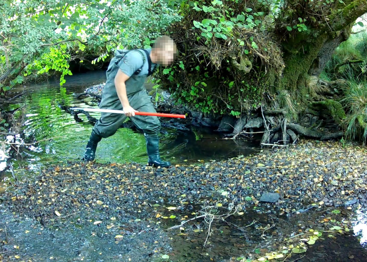 Welsh farmers and landowners launch legal action against Green GEN Cymru