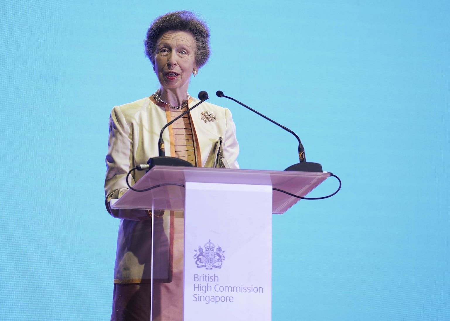 Princess Royal reflects on ‘remarkable milestone’ at party for King’s birthday