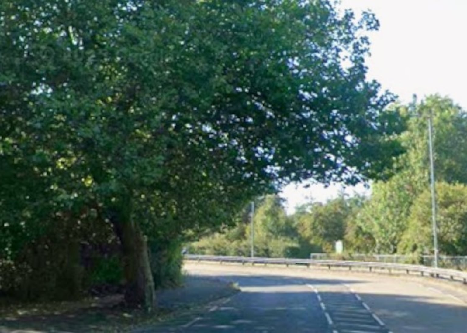 Pedestrian crossing request at ‘very dangerous’ Belfast road bend rejected by DfI