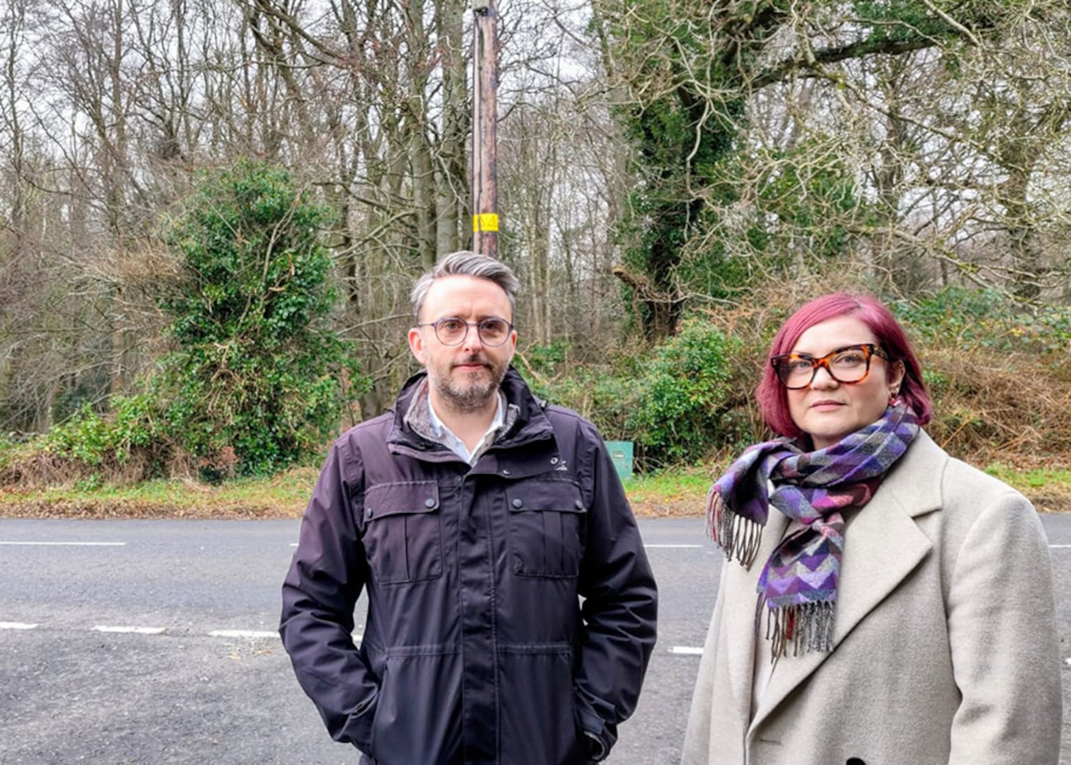 Council urged to ‘robustly’ resist plans for ‘unacceptable’ luxury development at historic Co Down woodland