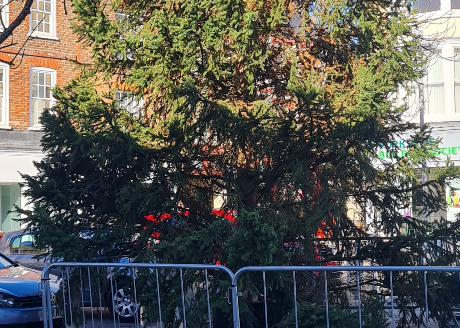 Town’s ‘half dead’ Christmas tree replaced after council brands it a ‘disgrace’