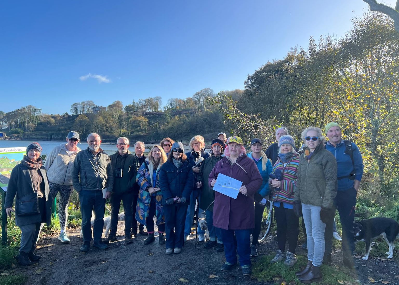Anger as trees felled to make way for three luxury homes on North Down coastal path