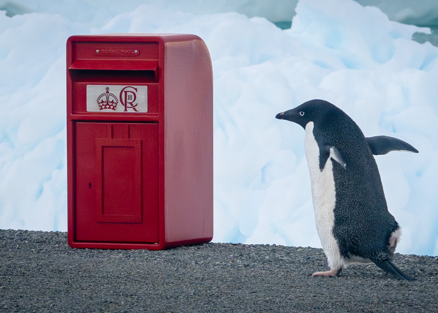 King’s special post box delivery for scientists in the Antarctic