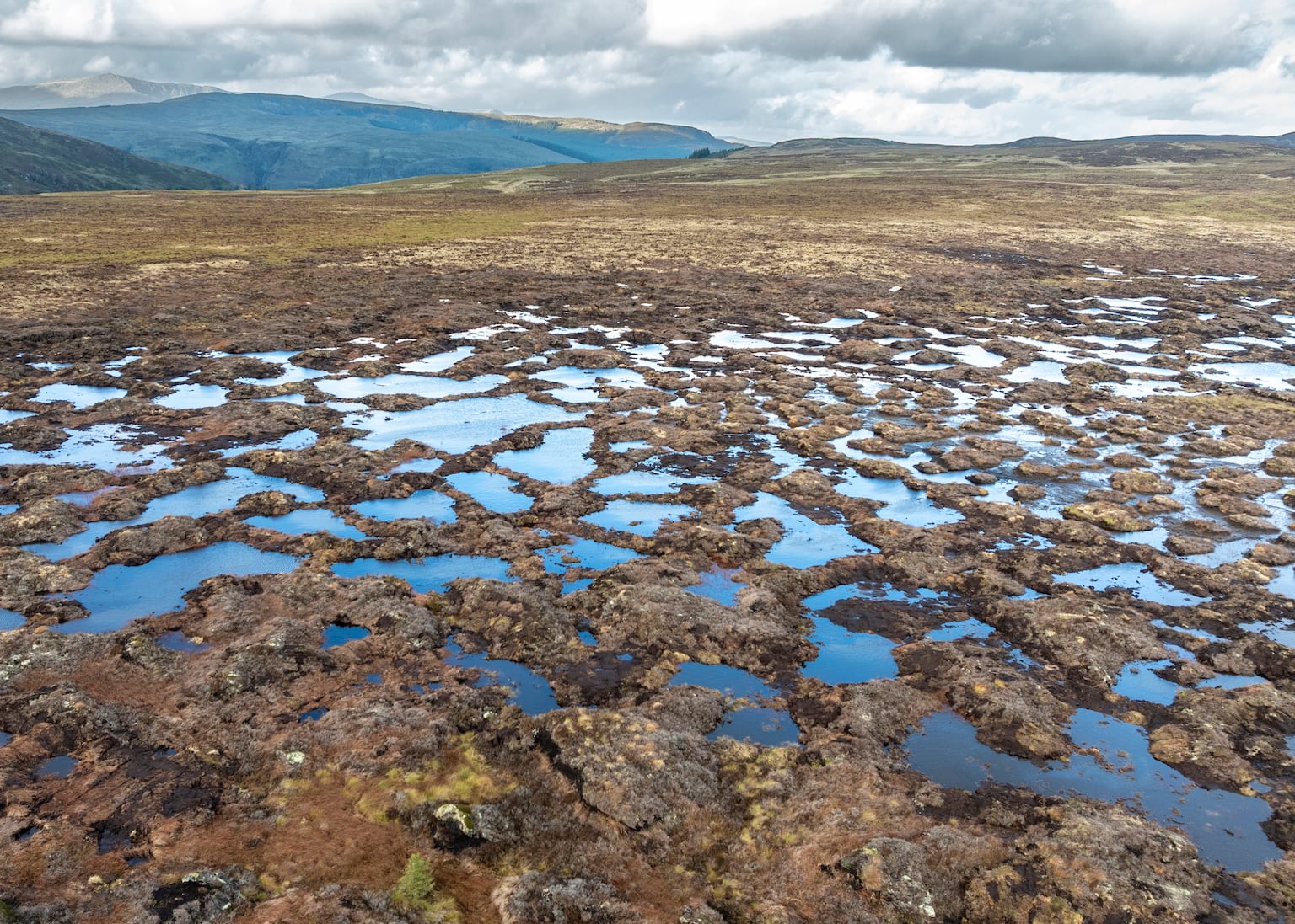 The Rise of AI-Powered Personal Assistants: How They Manage